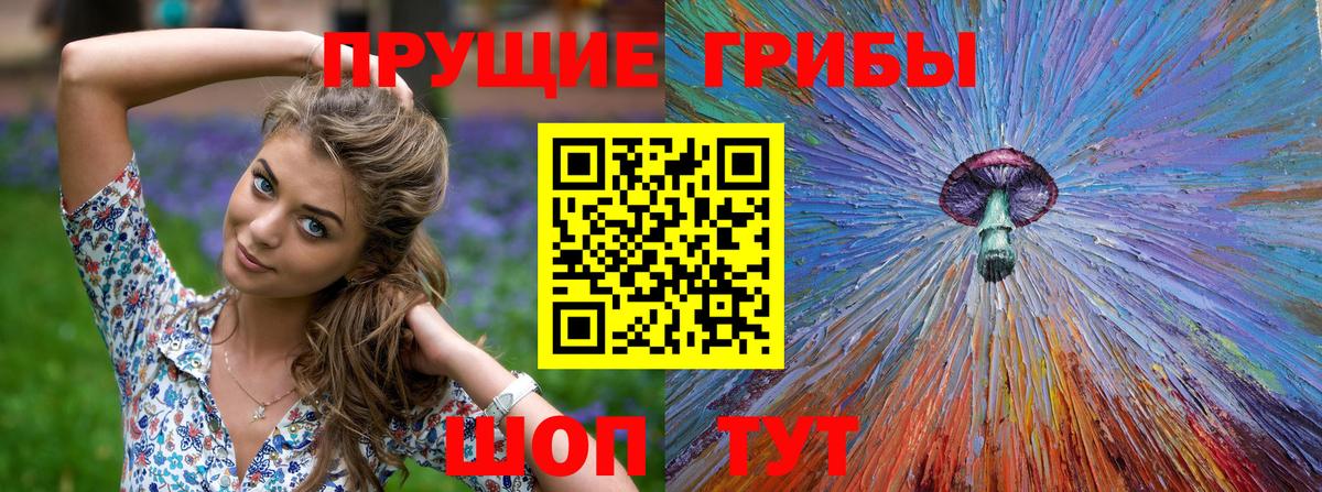 Псилоцибиновые грибы Cubensis  Псилоцибиновые грибы Psilocybine cubensis  Удомля  Вход с VPN 