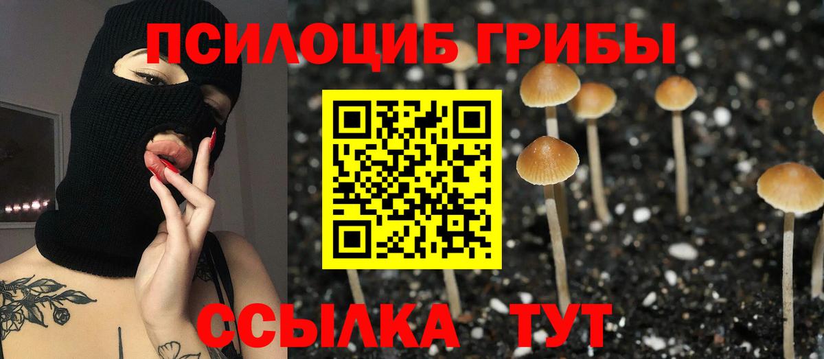 Псилоцибиновые грибы Magic Shrooms Удомля